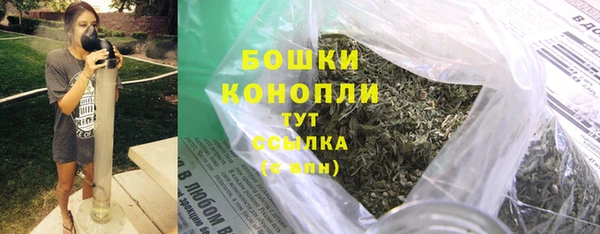 ГАЛЛЮЦИНОГЕННЫЕ ГРИБЫ Гусь-Хрустальный
