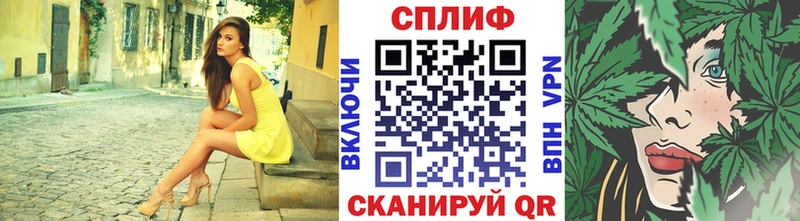 Каннабис ГИДРОПОН  Дно 